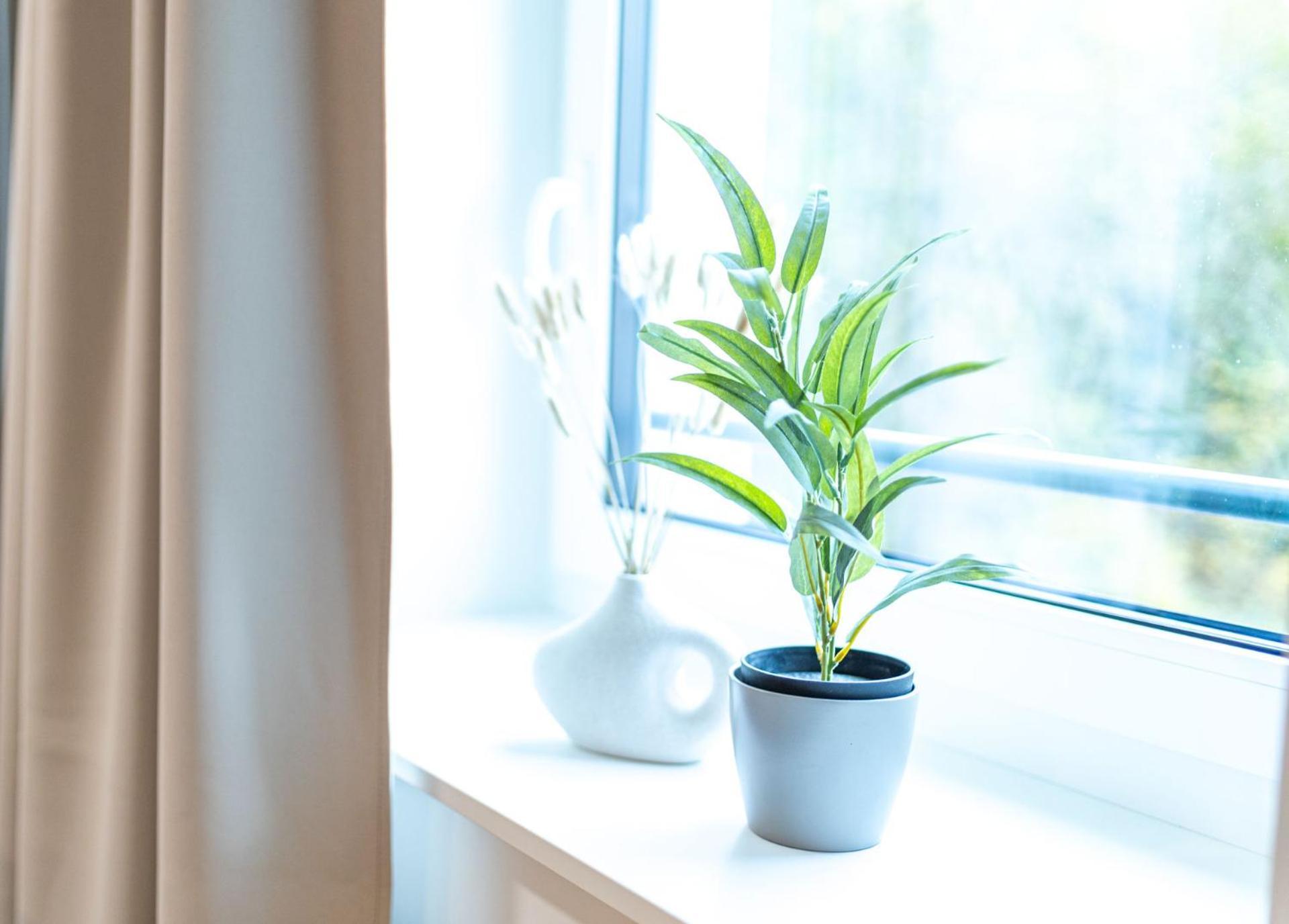 Dwellstay - City Apartments Fulda Cameră foto
